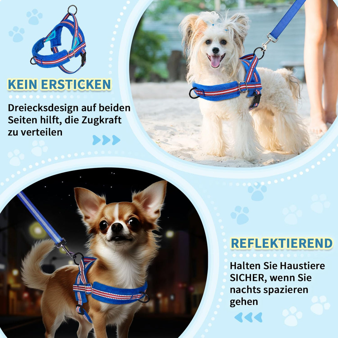 Eyein Hundegeschirr mit Leine für mittelgrosse Kleine Hunde, Weich gepolsterter No-Pull Brustgeschir