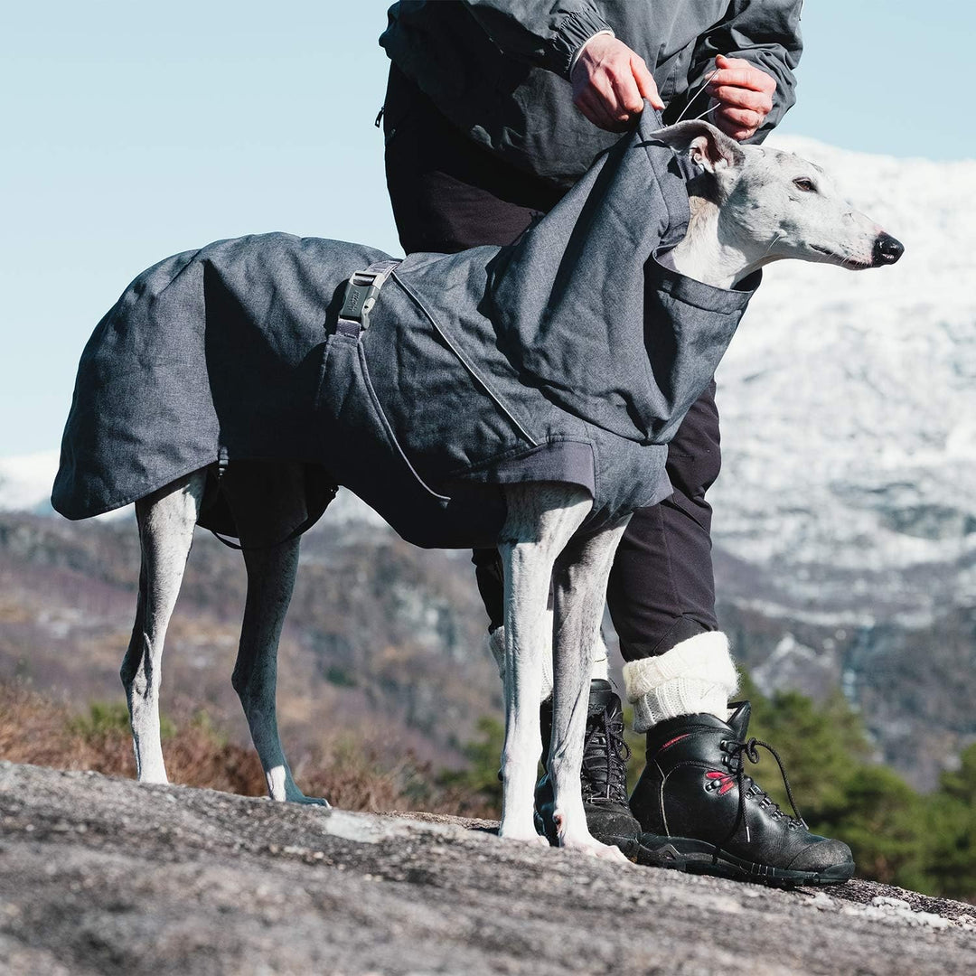 Hurtta Expedition Parka Wintermantel für Hunde, Hundemantel Blackberry Schwarz 35XL Brombeerfarben 3