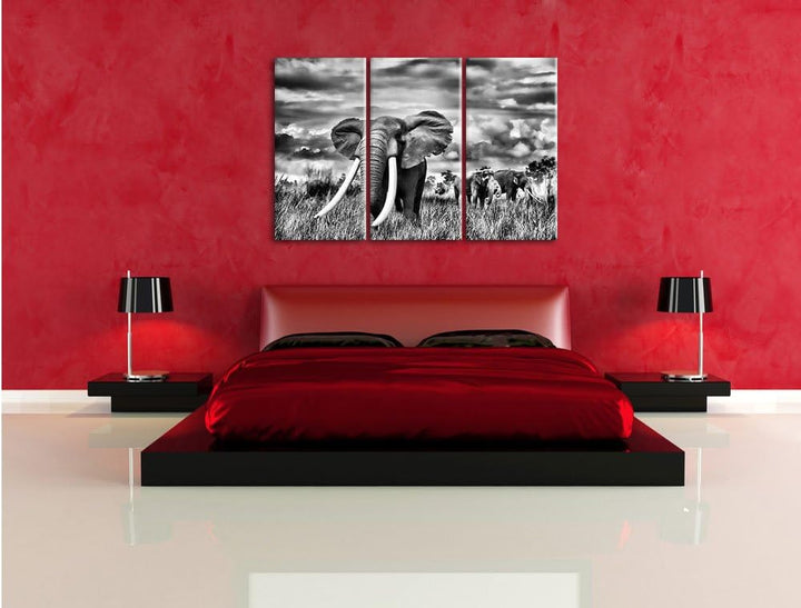 Pixxprint Stolzer Elefant in Savanne als Leinwandbild/Grösse: 3 Teilig (120x80) cm/Wandbild/Kunstdru