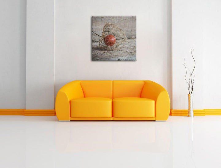 Pixxprint Physalis, Format: 70x70 auf Leinwand, XXL riesige Bilder fertig gerahmt mit Keilrahmen, Ku