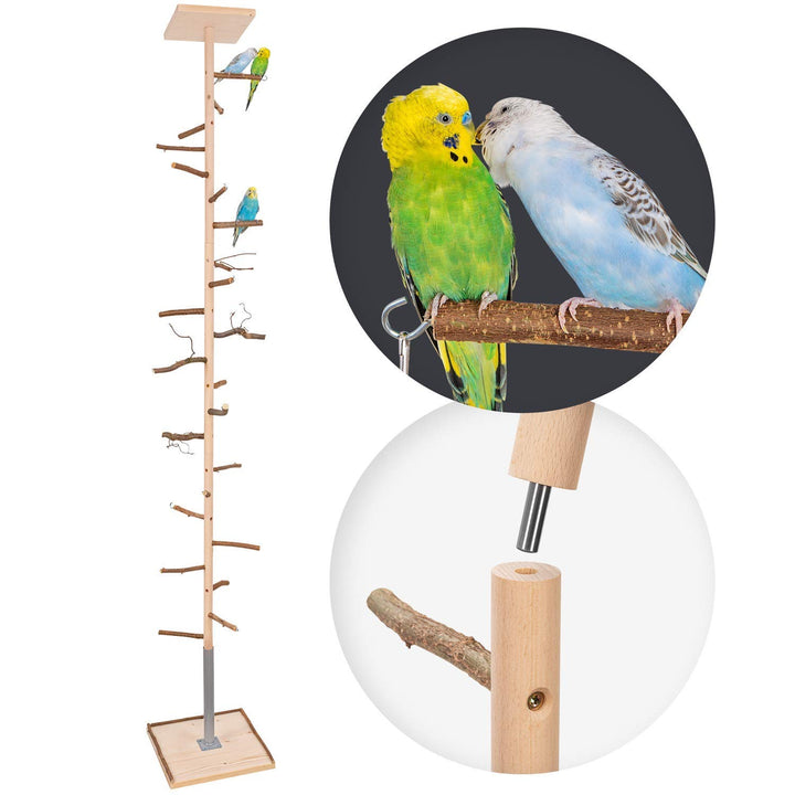 Vogelgaleria® Zimmerhoher Vogel-Kletterbaum 193-195 cm HiFly Basic mit Naturholz-Sitzstangen Vogelsp