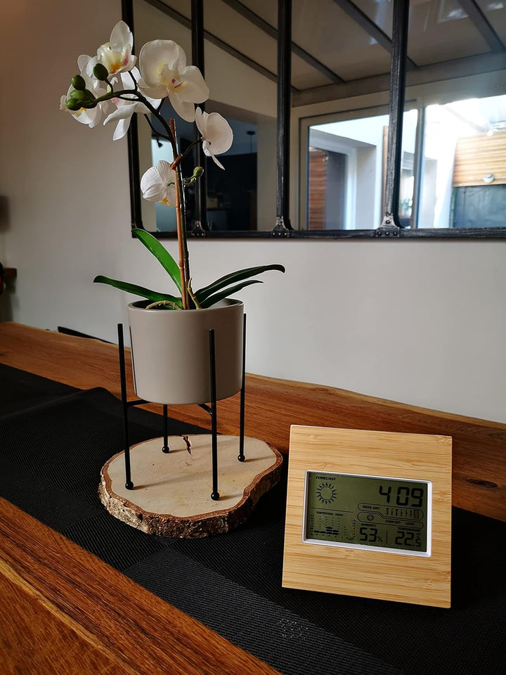 Bambus Wetterstation - Temperatur - Luftfeuchtigkeit / Luftfeuchtigkeit - 12h Vorhersage &amp; Trends -