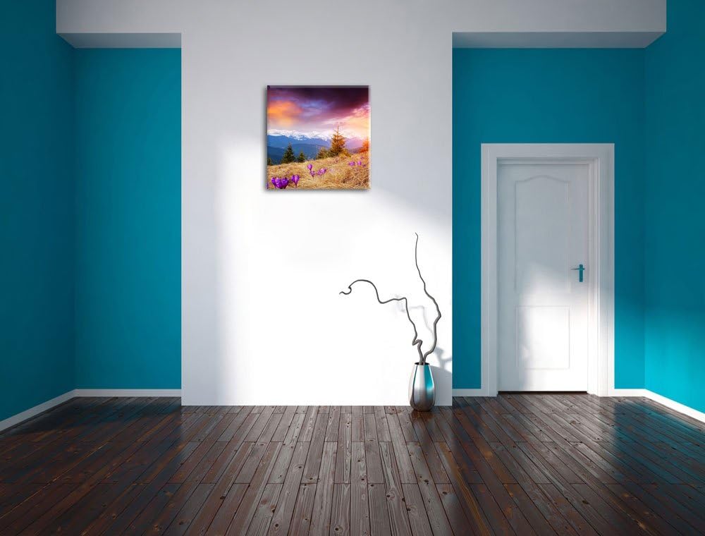 Pixxprint Krokusse auf Hochalmwiese in Alpen, Format: 70x70 auf Leinwand, 70x70