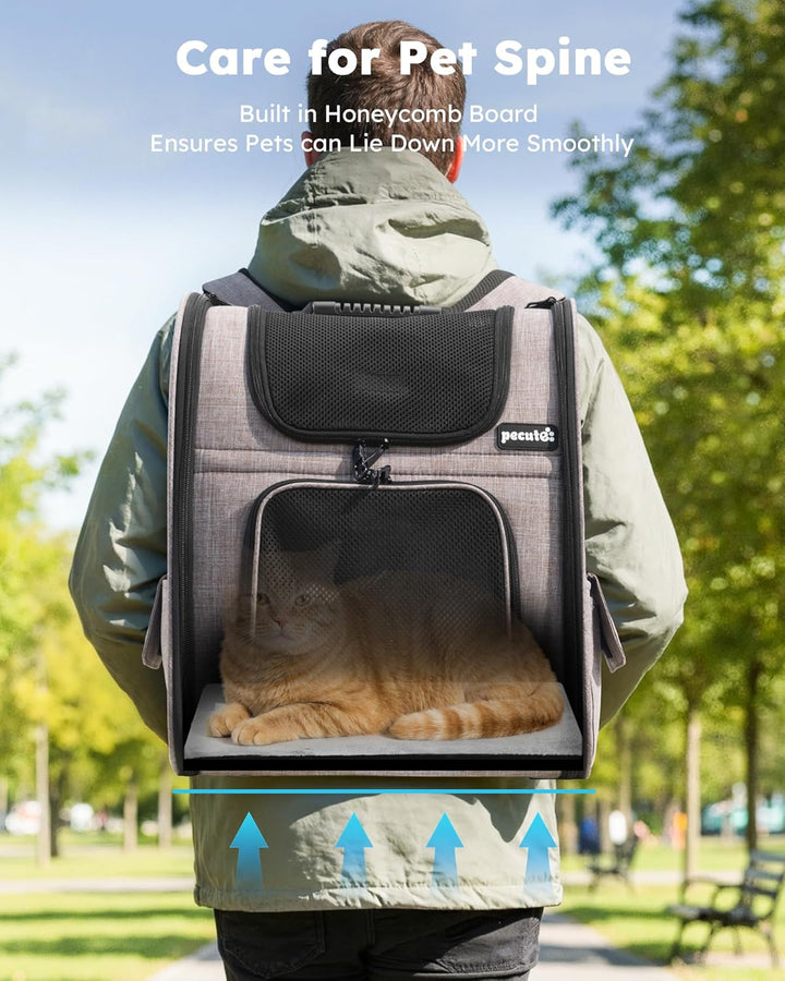 pecute Hunderucksack, Erweiterbar Faltbar, Katzenrucksack Grosse Katzen mit Anti-offener Reissversch