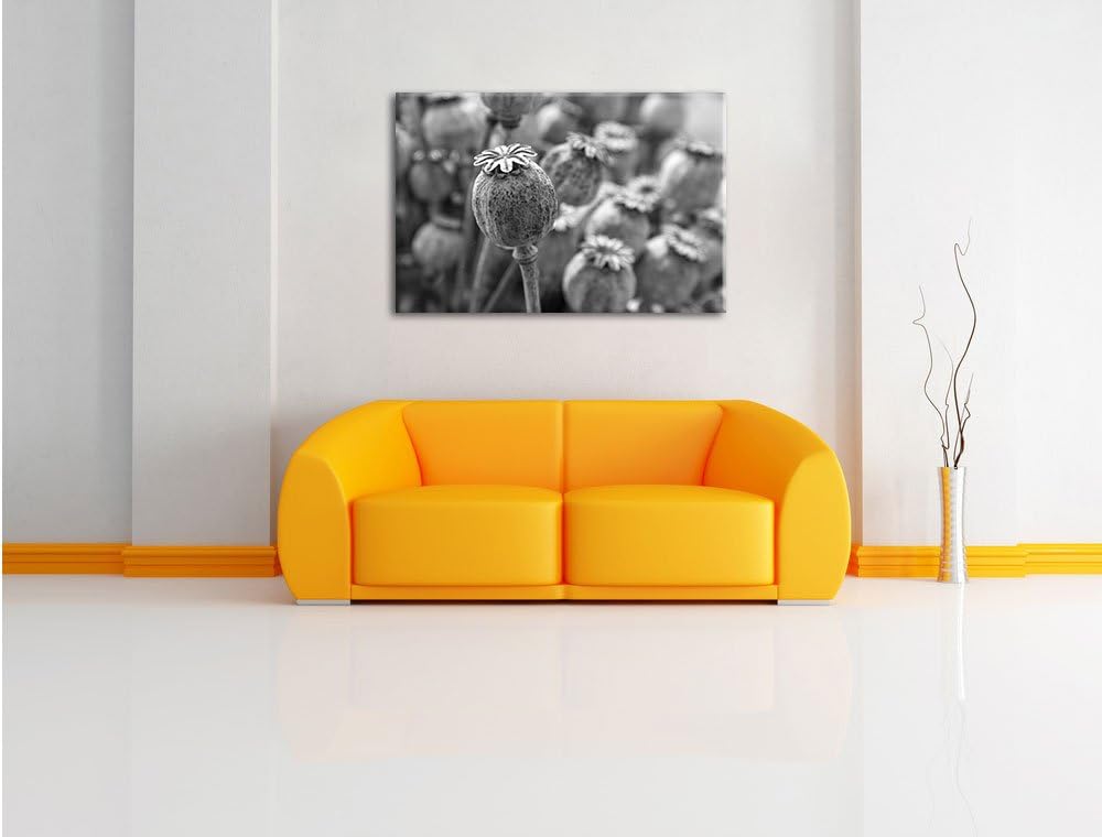 Pixxprint Mohnkapsel der Mohnblume Kunst B&W als Leinwandbild/Grösse: 100x70 / Wandbild/Kunstdruck/f