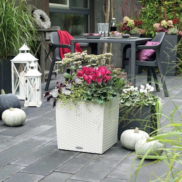 LECHUZA CUBE Cottage 30 granit 15372 Pflanzgefäss mit Erd-Bewässerungs-System 29,5x29,5x30 cm Granit