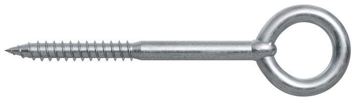 fischer Ösenschraube GS 10x160