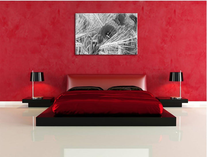 Pixxprint Mohnblumen auf dem Mais-Feld als Leinwandbild/Grösse: 100x70 cm/Wandbild/Kunstdruck/fertig