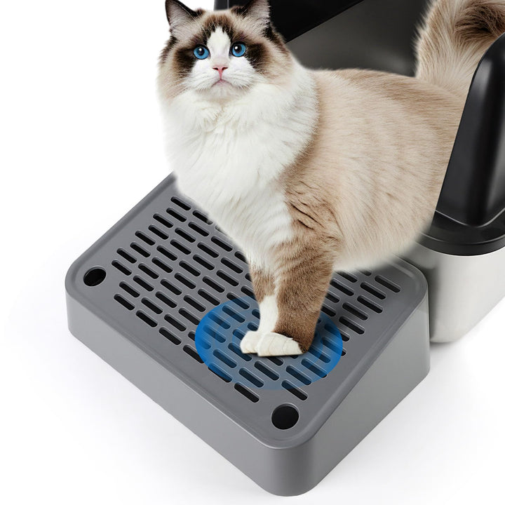 Katzenstreu Rampe, Katzentreppe/Katzentoilettenrampe/Katzenfänger Litter Trapper mit Filterfunktion,