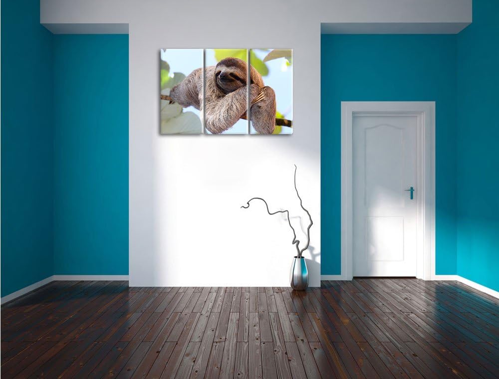 Pixxprint schönes Faultier hängt von AST als Leinwandbild/Grösse: 3Teilig (120x80) / Wandbild/Kunstd