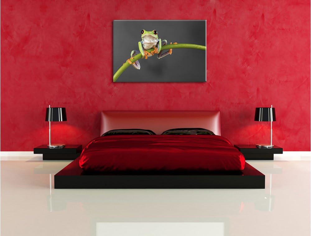 Pixxprint Baum-Frosch auf Bambus als Leinwandbild/Grösse: 100x70 / Wandbild/Kunstdruck/fertig bespan
