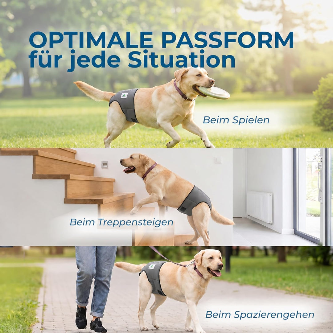 Nature Pet Hunde-Läufigkeitshose für Hündinnen - Hundewindel für Rüden - Kein lästiges Einfädeln der