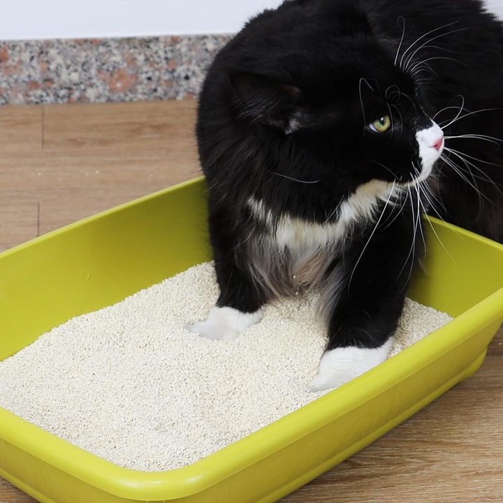 Croci Tofu Clean Katzenstreu mit grünem Duft, biologisch abbaubar, 100% pflanzlich, langanhaltend, g