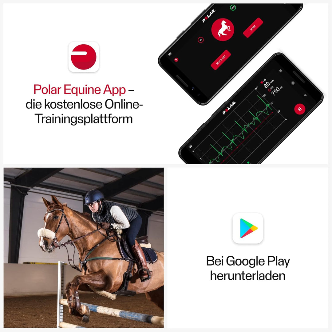 Polar Equine - Pferde Reitsport Trab - H10 Herzfrequenz-Sensor - Wasserdichter Pulssensor mit Brustg