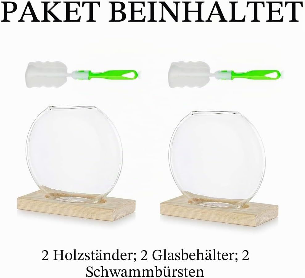 Tischplatte hängen Glas Pflanzer Pcs von 2 Vermehrungsstation Moderne Blumenknospe Vase in Holz Steh