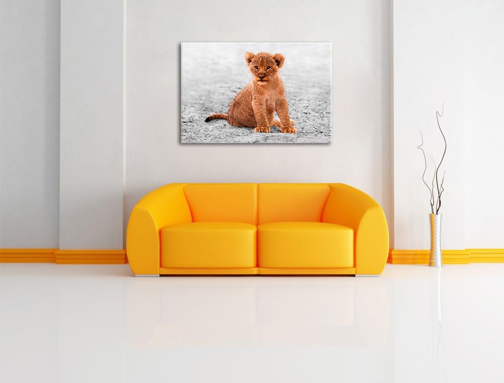 Pixxprint Verlassenes Löwenbaby als Leinwandbild/Grösse: 100x70 / Wandbild/Kunstdruck/fertig bespann