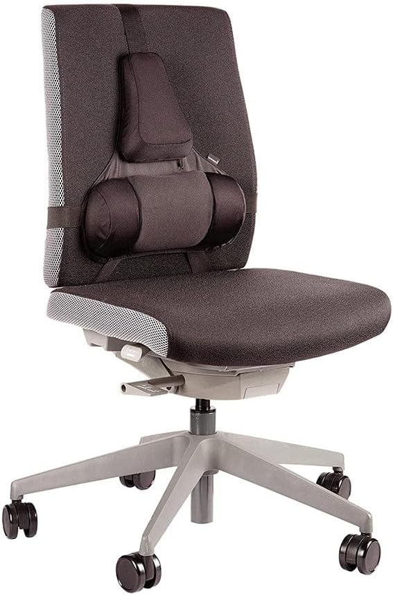 Fellowes Professional Series Profi Rückenstütze mit Memory Foam, schwarz, Professional Series Profi