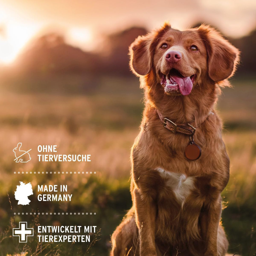 AniForte Fellharmonie Hundeshampoo mit Kokosöl & Aloe Vera 200ml – Pflegeshampoo für Hunde, Vitale H