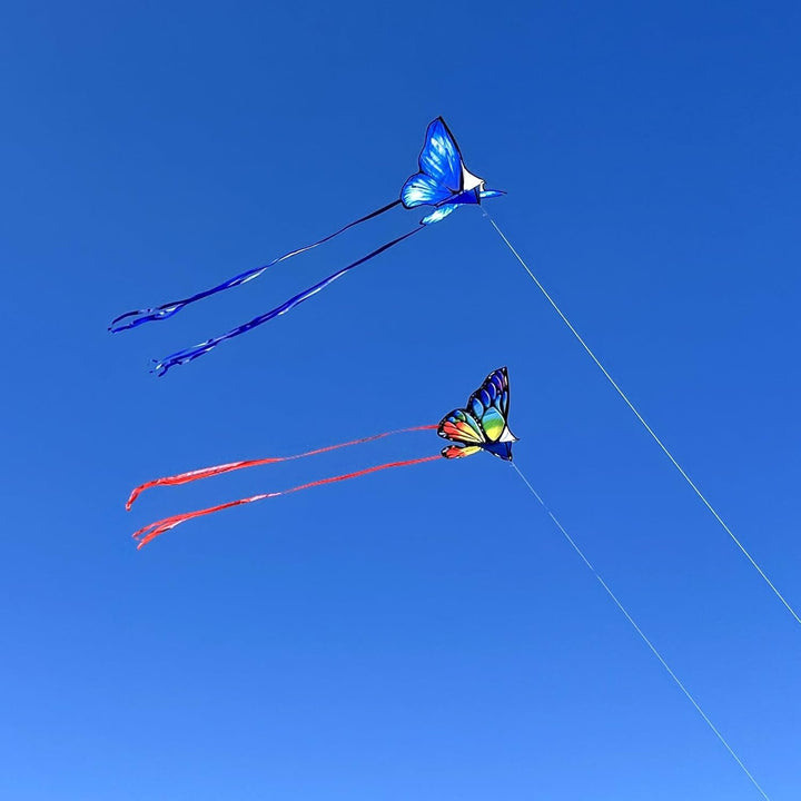 Simxkai Drachen für Kinder und Erwachsene, einfach zu fliegen, grosser Drachen für Anfänger 2 Blauer