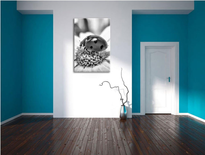 Pixxprint Marienkäfer auf Gänseblümchen als Leinwandbild/Grösse: 100x70 cm/Wandbild/Kunstdruck/ferti