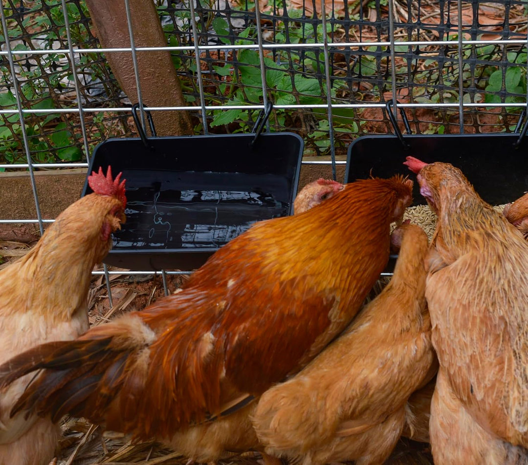 mozoba Hängender Hühner-Futterspender für Ziegen, Schafe, Hirsch, Geflügel, Enten, Hühnerzaun, Futte