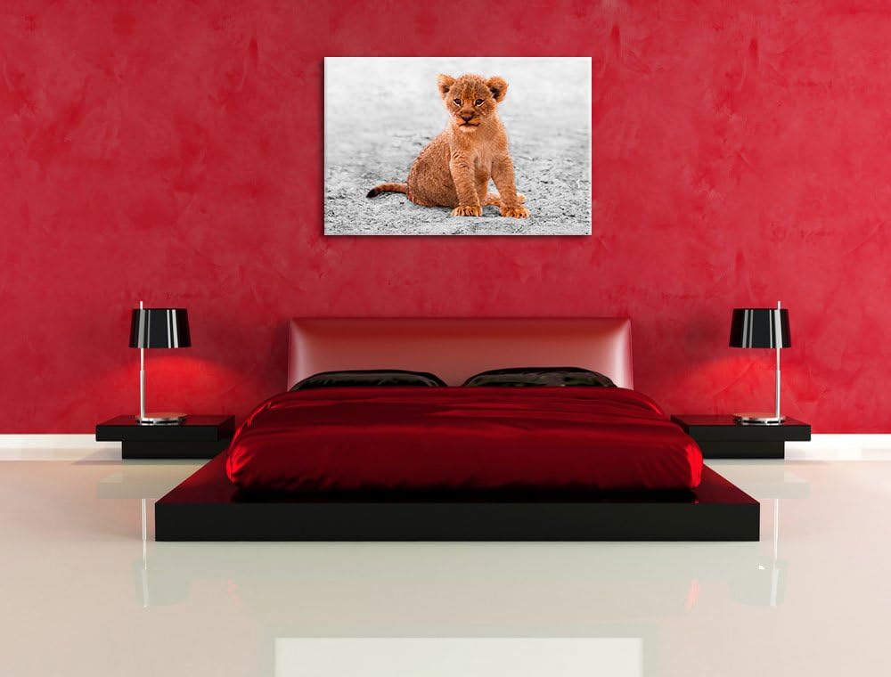 Pixxprint Verlassenes Löwenbaby als Leinwandbild/Grösse: 100x70 / Wandbild/Kunstdruck/fertig bespann
