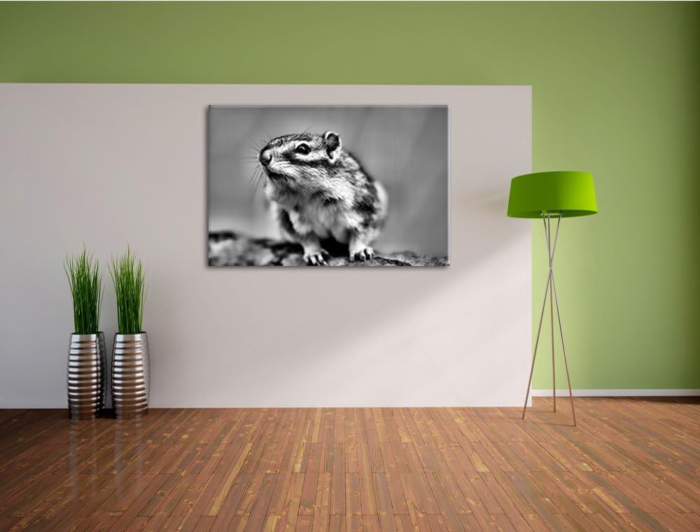 Pixxprint niedliches Streifenhörnchen als Leinwandbild/Grösse: 100x70 / Wandbild/Kunstdruck/fertig b