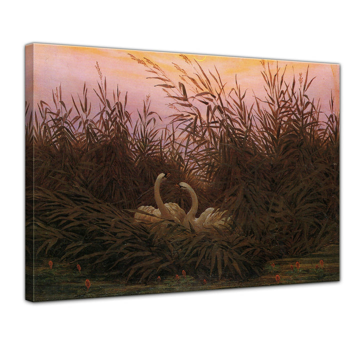 Bilderdepot24 Bild auf Leinwand | C. D. Friedrich Schwäne im Schilf beim ersten Morgenrot in 80x60 c