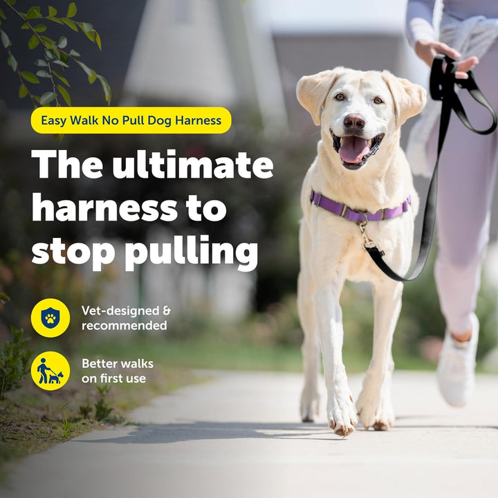 PetSafe Easy Walk Hundegeschirr. Deep Purple/Black Large, Deep Purple/Black Large
