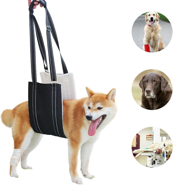 Ganzkörper Tragehilfe, Treppenhilfe, Dog Carrier Hundetrage, Tragegurt, Verstellbarer Hunde Tragehil