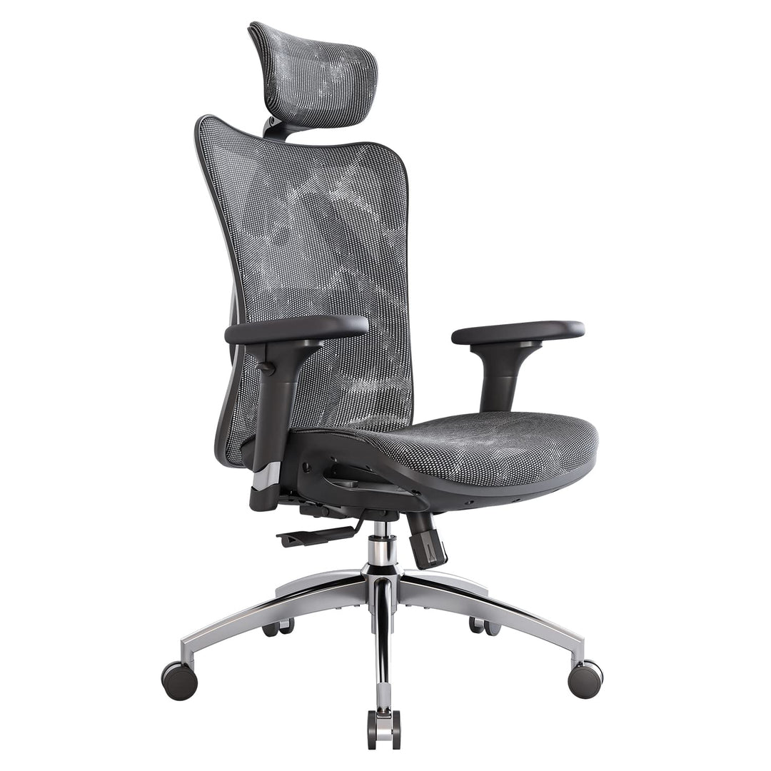 SIHOO Ergonomischer Bürostuhl, Chefsessel mit 3D verstellbare Armlehne und Lendenwirbelstütze, Hautf