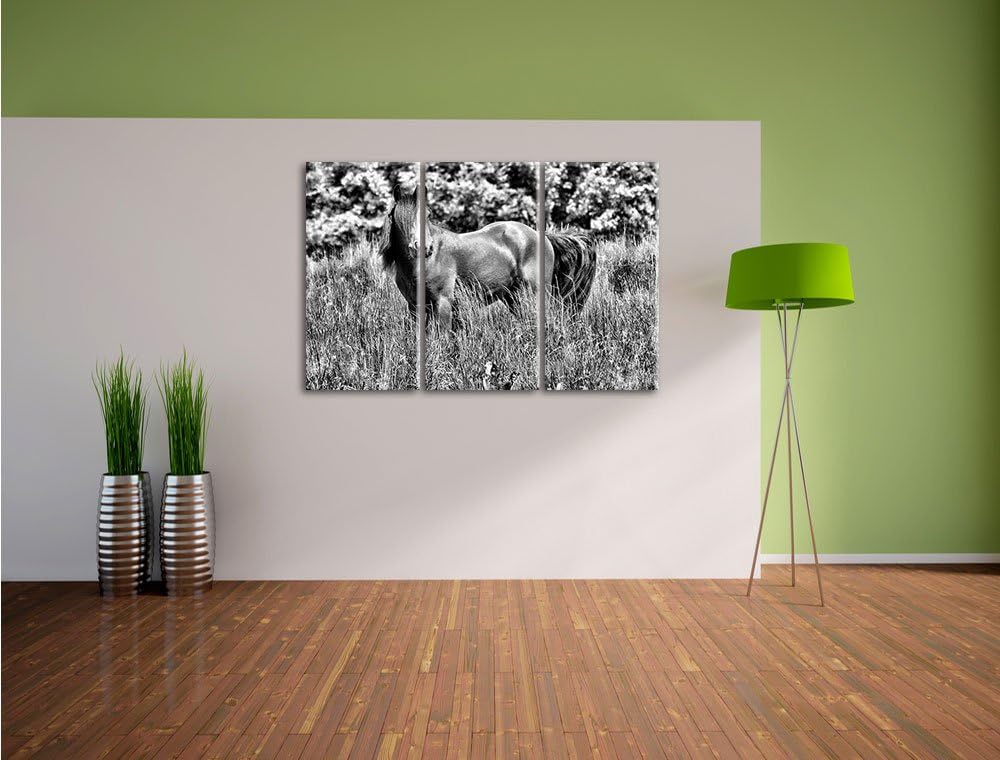 Pixxprint Wildes Pferd als Leinwandbild/Grösse: 3 Teilig (120x80) cm/Wandbild/Kunstdruck/fertig besp