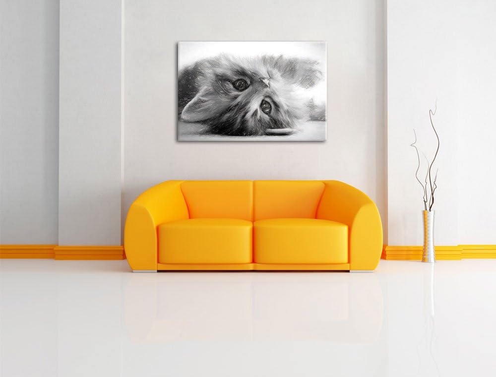 Pixxprint Süsses Katzenbaby als Leinwandbild/Grösse: 100x70 / Wandbild/Kunstdruck/fertig bespannt, 1