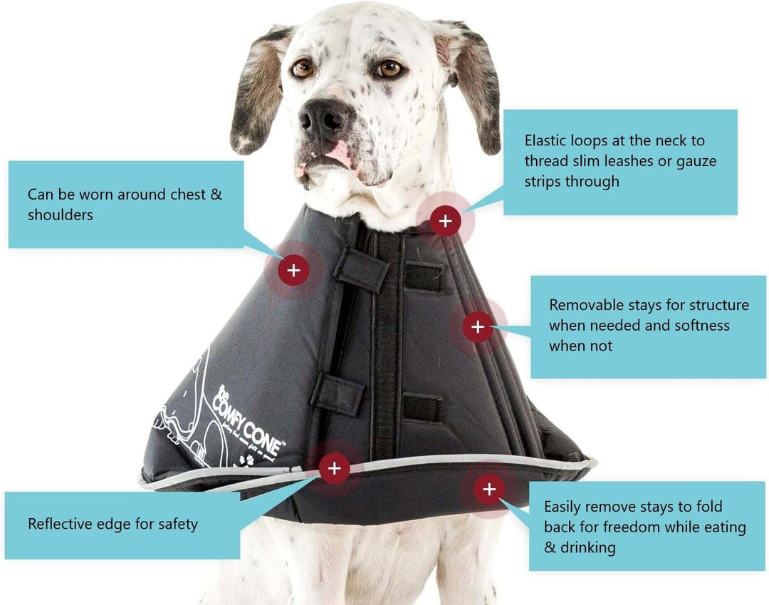 All Four Paws „The Comfy Cone“ Halskrause für Haustiere,Small Small hautfarben, Small hautfarben