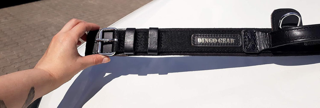 Dingo Gear Halsband für Hund ''Drago'' aus Band Amortisiert Schwarz mit Griff Handgefertigt S04023 4