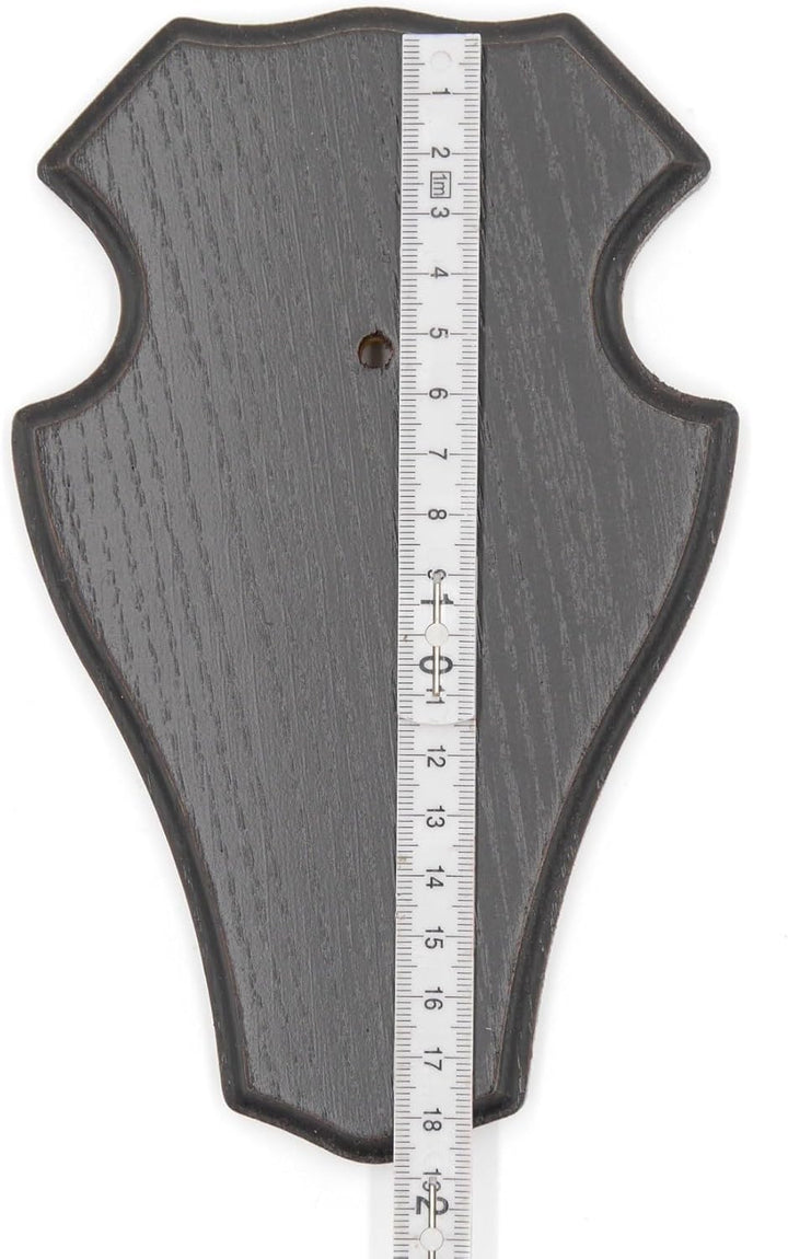 10 Stück REH Bock Schild Trophäenschilder Spitz mit 1 Kieferfach in Eiche dunkel