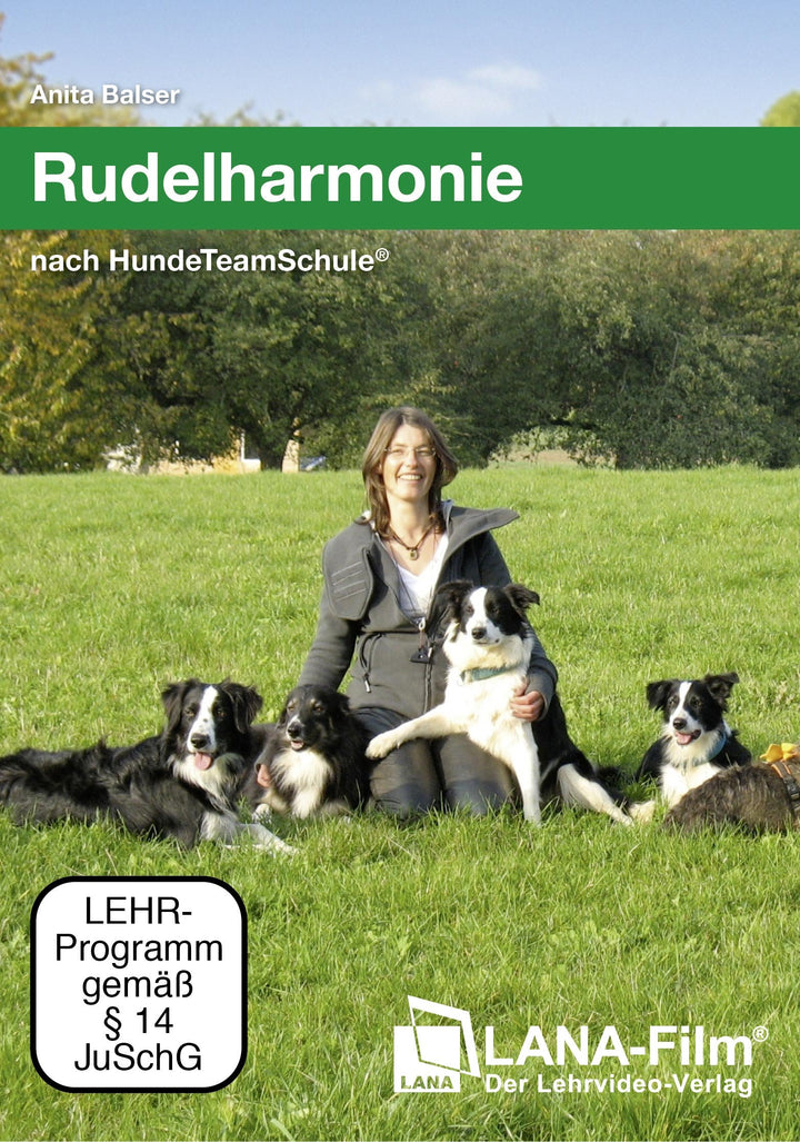 Rudelharmonie nach HundeTeamSchule: Führen eines Hunderudels, DVD