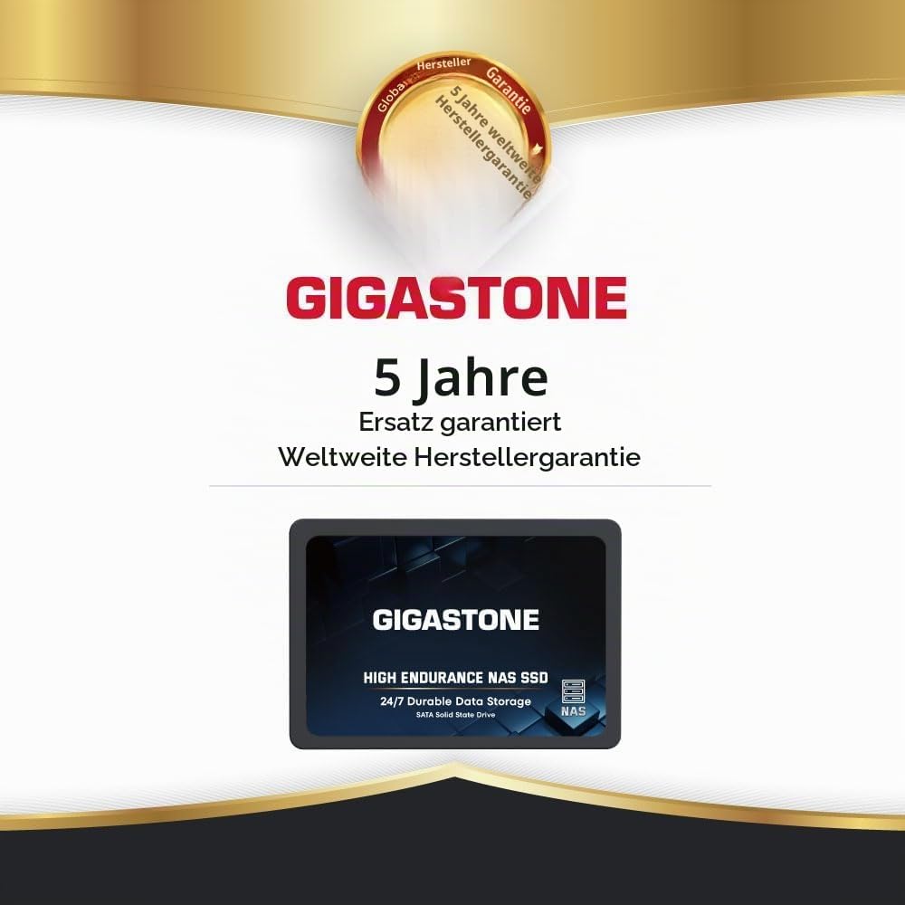 Gigastone NAS SSD 1TB Enterprise SSD Festplatte TLC Hohe Dauerhaltbarkeit Server SSD für 24/7 Dauerb