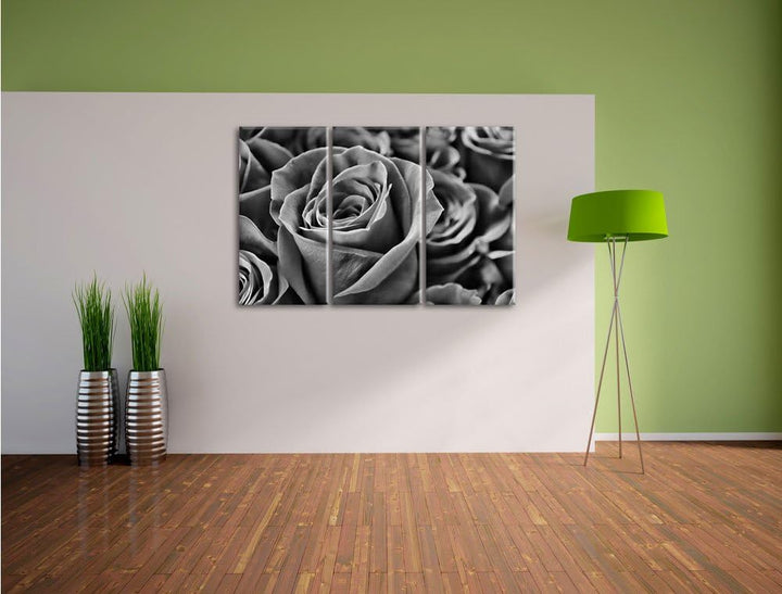 Pixxprint Monocrome, Romantische Rosen 3-Teiler Leinwandbild 120x80 Bild auf Leinwand