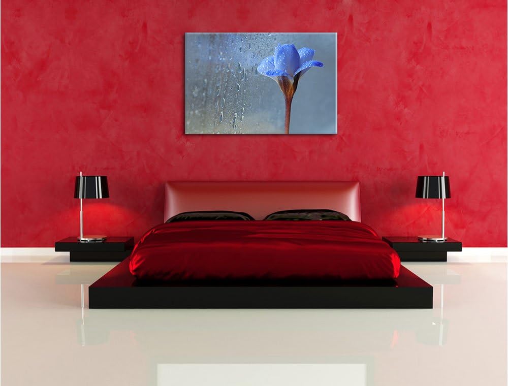 Pixxprint Frühlingsblume mit Tau als Leinwandbild/Grösse: 100x70 cm/Wandbild/Kunstdruck/fertig bespa