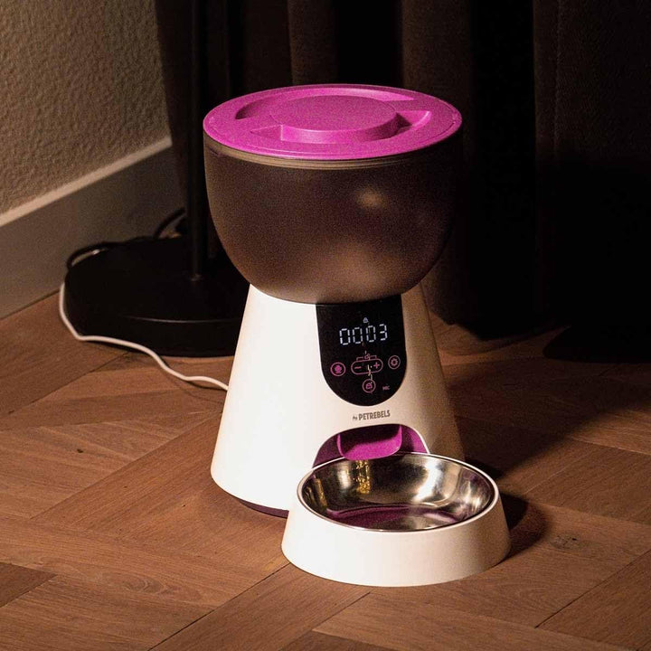 Petrebels Futterautomat Katze, Programmierbar, Mit Sprachaufnahme, 4 Liter, Touchscreen, Food-Expres