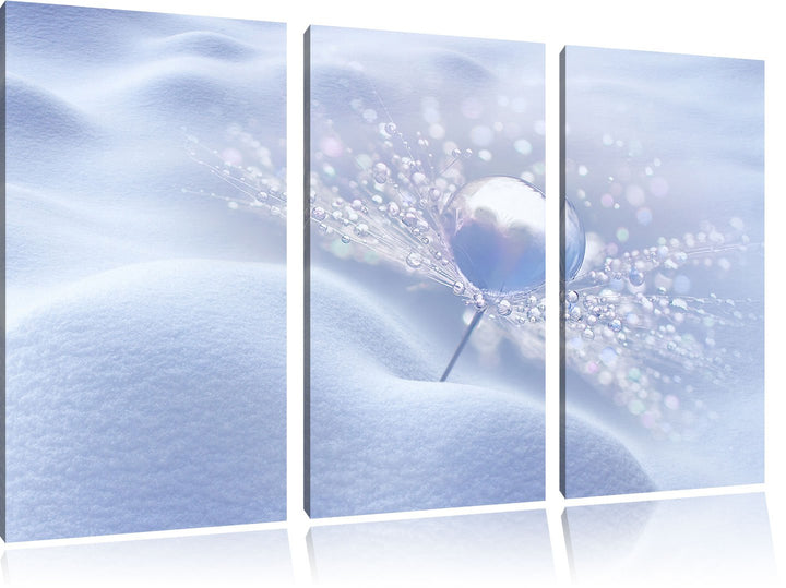 Pixxprint Tautropfen auf Einer Pusteblume im Schnee 3-Teiler Leinwandbild 120x80 Bild auf Leinwand