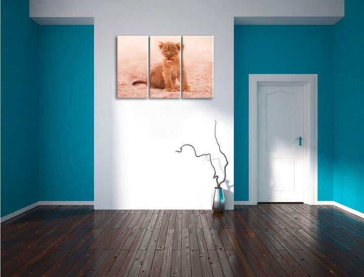 Pixxprint Verlassenes Löwenbaby als Leinwandbild/Grösse: 3 Teilig (120x80) cm/Wandbild/Kunstdruck/fe