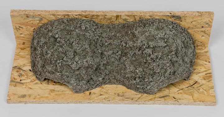 Mehlschwalben Doppelnest, Mehlschwalbennester, Schwalbennester, Nistkasten
