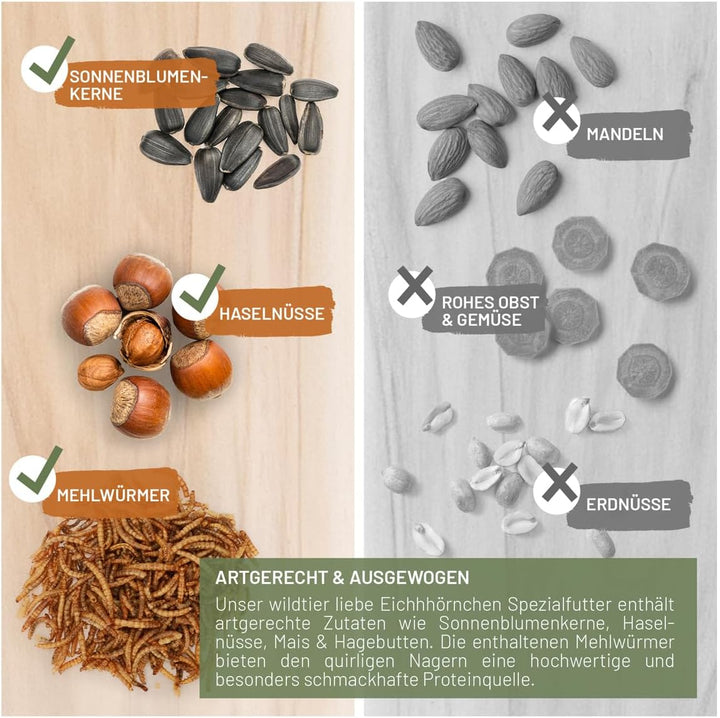 wildtier liebe Eichhörnchenfutter 2kg für Eichhörnchen & Streifenhörnchen I Ganzjahres-Futter Eichhö