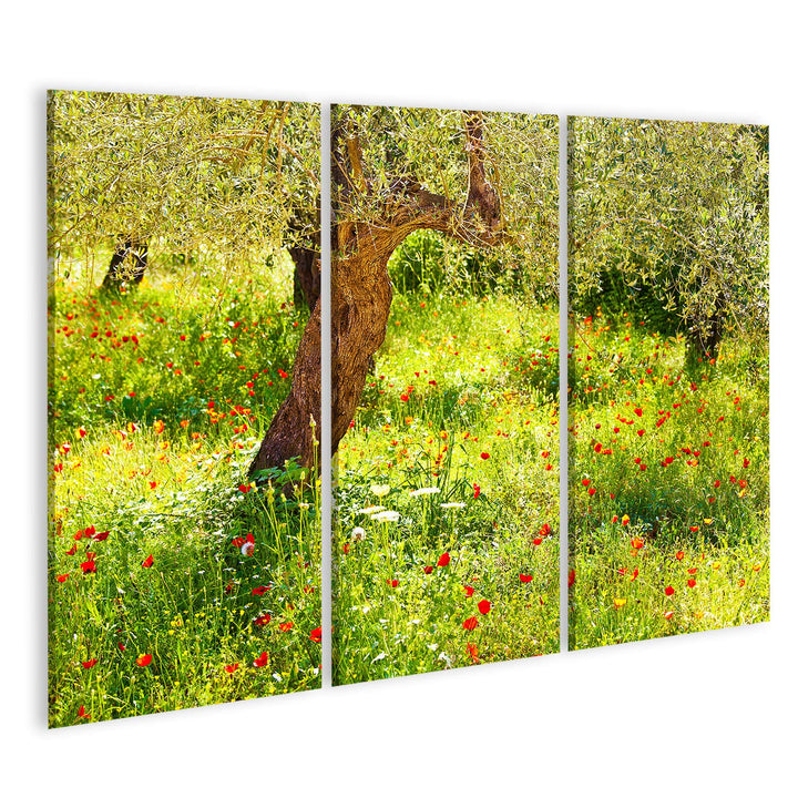 islandburner Bild auf Leinwand Mohnblumen Wiese Baum Bilder Wandbilder Poster Leinwand 130x80cm - 3