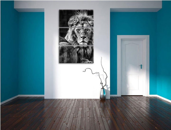 Pixxprint schönes Löwenpaar als Leinwandbild/Grösse: 3 Teilig (120x80) cm/Wandbild/Kunstdruck/fertig