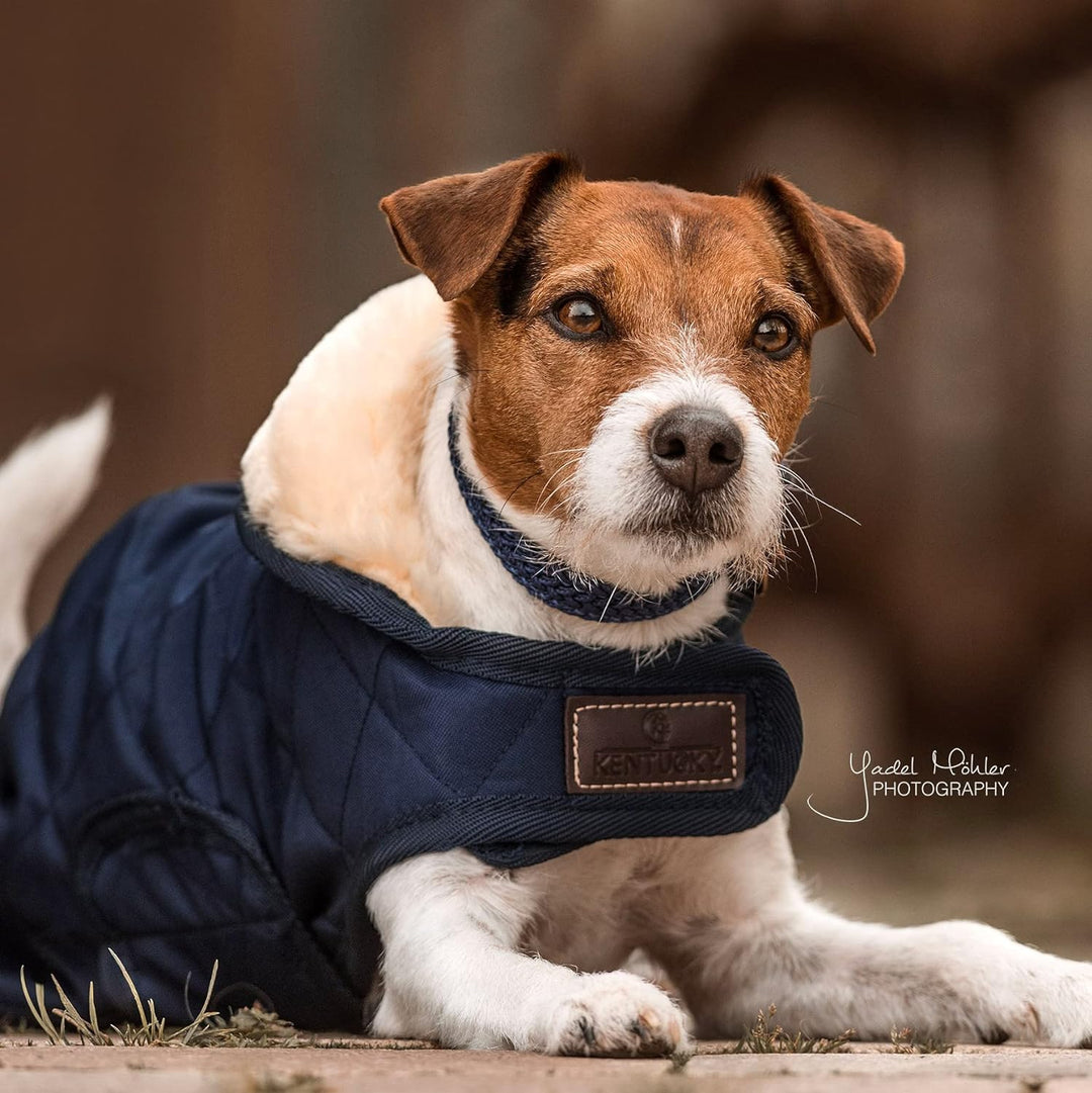 Kentucky Hundemantel Marine M