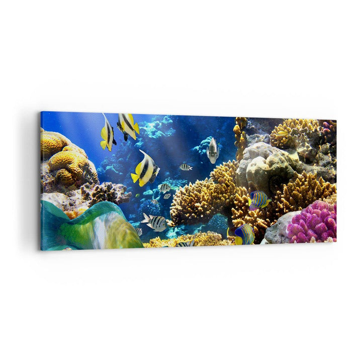 Wandbilder Dekoration Wohnzimmer Korallenriff Ozean Krabbe Fisch Panorama Bilder auf Leinwand 120x50
