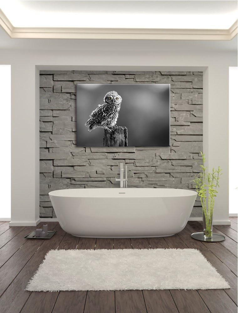 lustige Eule auf Baumstumpf schwarz/weiss Format: 100x70 auf Leinwand, XXL riesige Bilder fertig ger